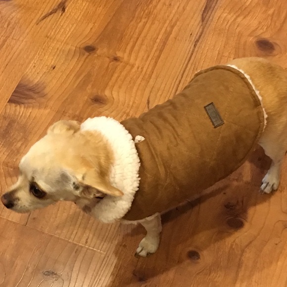 UGG Other - 🐕UGG FUZZY DOGGIE COAT🐕